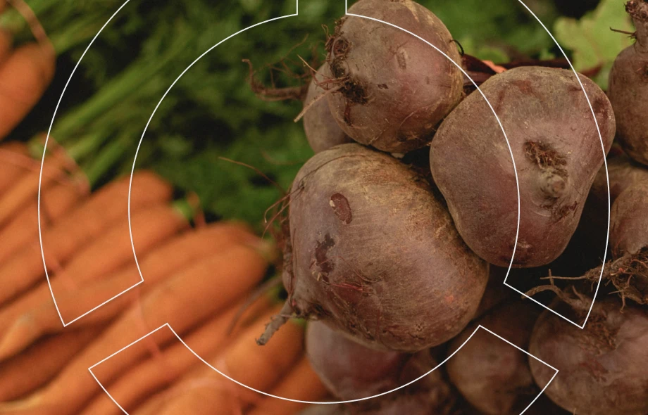 DOT повторно оголосив торги на закупівлю продуктів харчування за пілотною моделлю: зміни та і очікування DOT повторно оголосив торги на закупівлю продуктів харчування за пілотною моделлю: зміни та і очікування