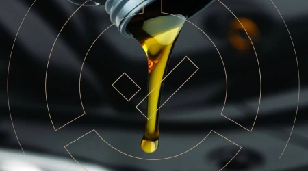 The DOT Team Conducted an Audit of an Oil Distributor: Documentation and Nomenclature Compliance The DOT Team Conducted an Audit of an Oil Distributor: Documentation and Nomenclature Compliance